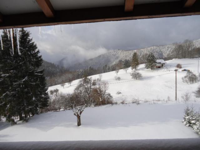 Chalet Contemporain Plein Nature Altenbach Kültér fotó
